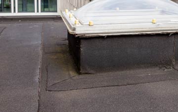 disadvantages of The Rampings flat roofs